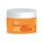 Aloe+ Colors Body Butter